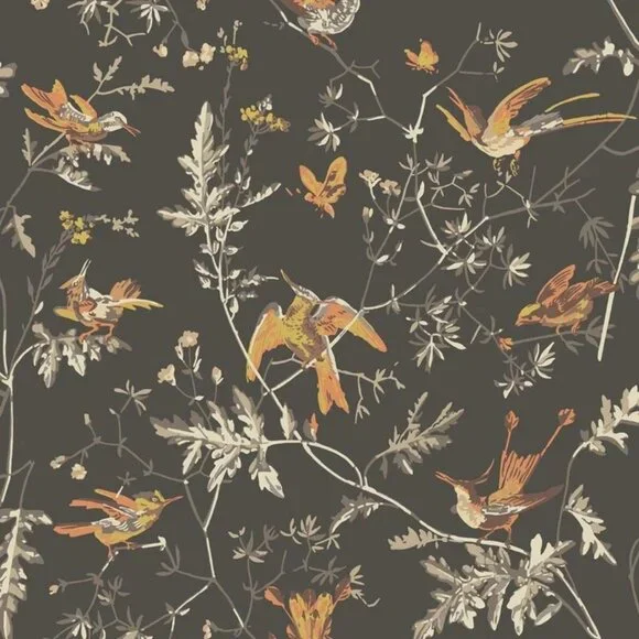 NEW Cole and Son Hummingbirds Wallpaper Charcoal/Ginger -112/4017 | - Picture 1 of 9